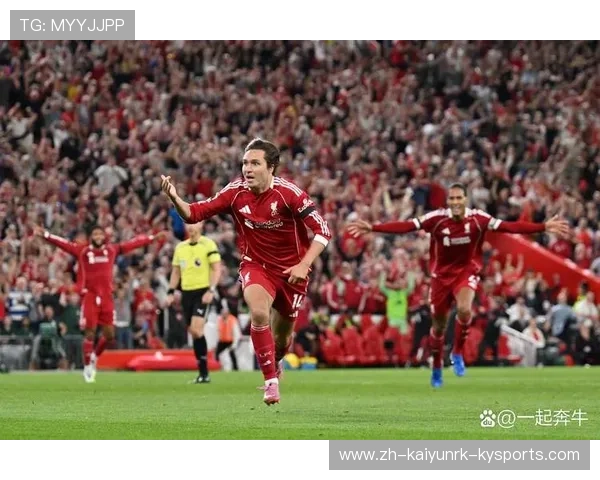 英超球队Wiki资料：各球队的背景与现状